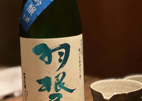 alt 1
