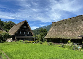 飛騨のどぶ チェックイン 4