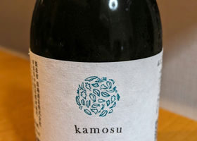 kamosu mori Check-in 2