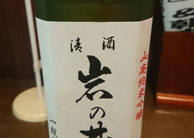 alt 1