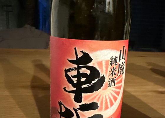 alt 1