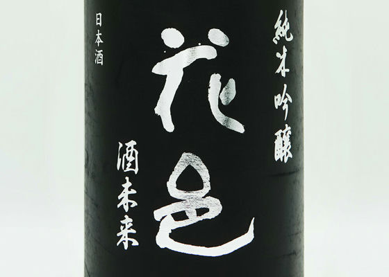 alt 1