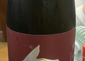 alt 1