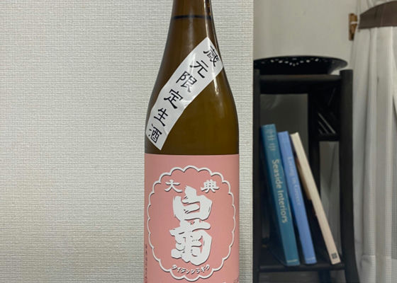 大典白菊