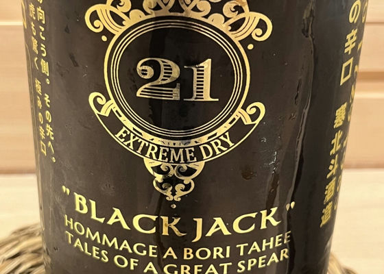 BLACK JACK 21 Check-in 1