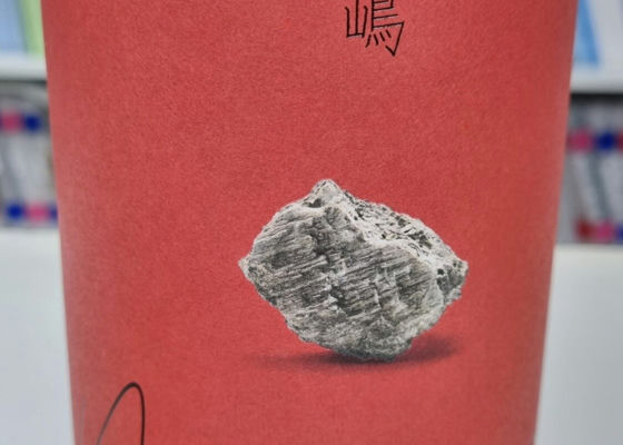 alt 1