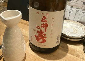 alt 1