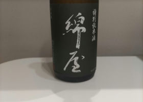 alt 1