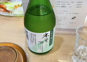 alt 1