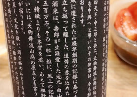 alt 3