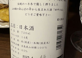 alt 2