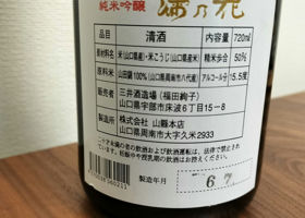 alt 3