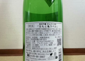 alt 3