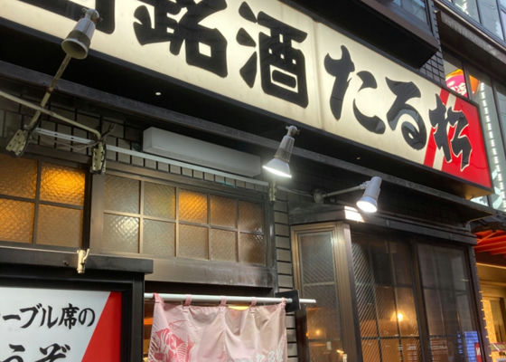 光栄菊