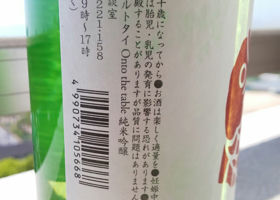 alt 3
