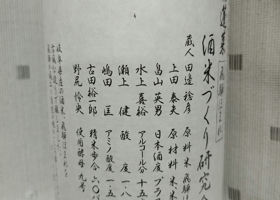 alt 3