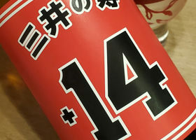 alt 1