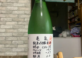 alt 1