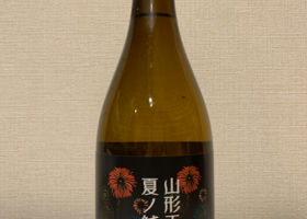 alt 3