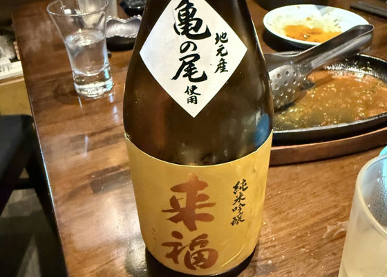 alt 1