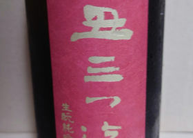 alt 1