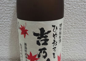 alt 1