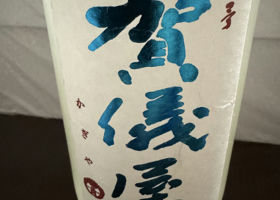 alt 1