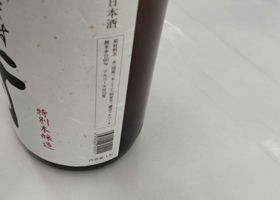 alt 3