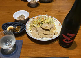 alt 3