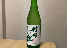 alt 1