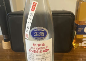 alt 1