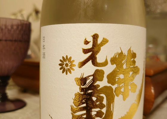 光栄菊