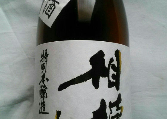 alt 1