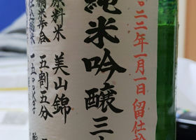 alt 1