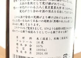 alt 3
