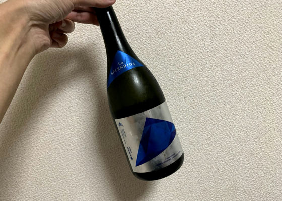 alt 1