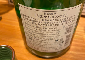 alt 2