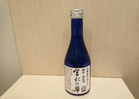 alt 1