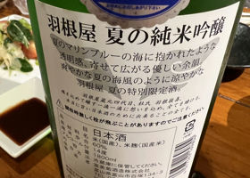 alt 2