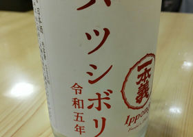alt 1