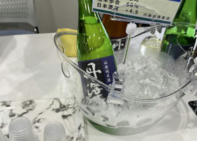 alt 2