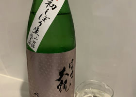 alt 1