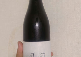alt 1