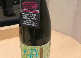 alt 1