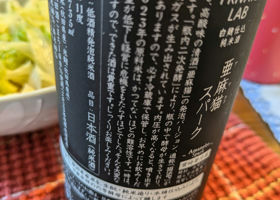 alt 3