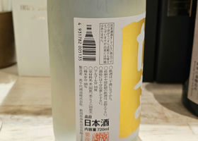 alt 3