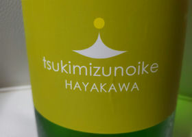 Tsukimizunoike Check-in 1
