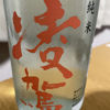 Ryoga 3