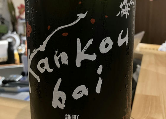alt 1