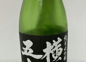alt 1